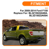 Ford F150 09-14  Windshield Panel Grill