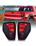 Ford F-150 2009-2014 Guias Traseras Led