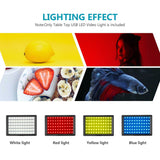 Luces Led 2 Packs 5600K